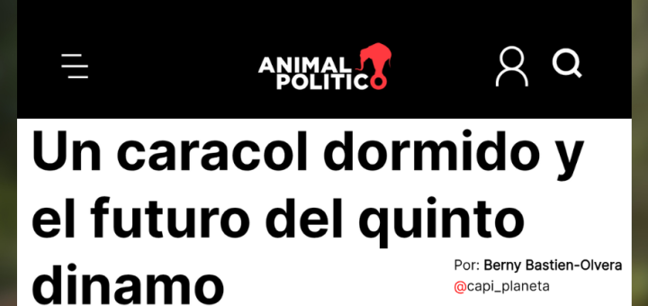 animal politico