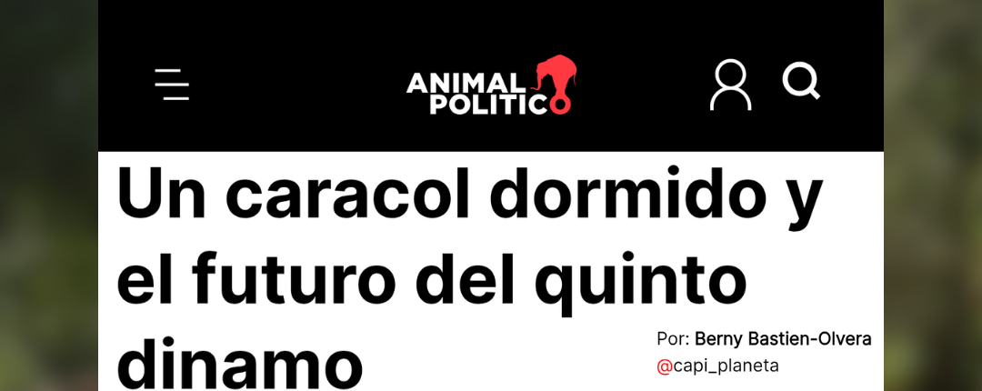 Un caracol dormido y el futuro del quinto dinamo